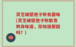 灵芝破壁孢子粉有菌味(灵芝破壁孢子粉散发刺鼻味道，你知道原因吗？)