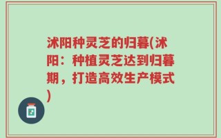 沭阳种灵芝的归暮(沭阳：种植灵芝达到归暮期，打造高效生产模式)