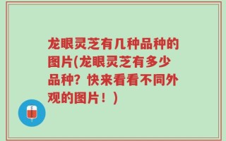 龙眼灵芝有几种品种的图片(龙眼灵芝有多少品种？快来看看不同外观的图片！)