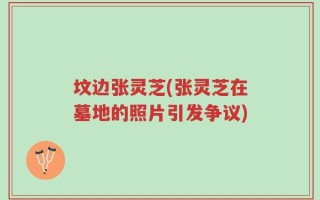 坟边张灵芝(张灵芝在墓地的照片引发争议)