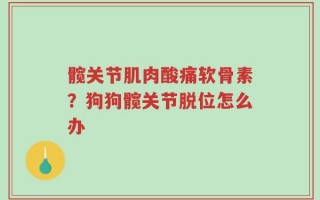 髋关节肌肉酸痛软骨素？狗狗髋关节脱位怎么办