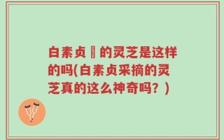 白素贞釆的灵芝是这样的吗(白素贞采摘的灵芝真的这么神奇吗？)
