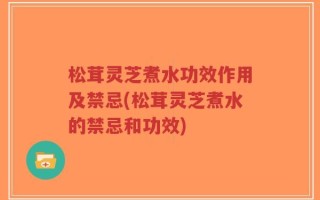 松茸灵芝煮水功效作用及禁忌(松茸灵芝煮水的禁忌和功效)
