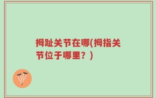 拇趾关节在哪(拇指关节位于哪里？)