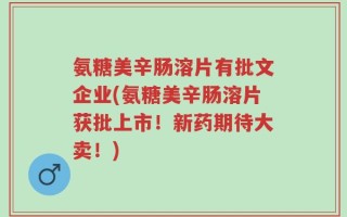 氨糖美辛肠溶片有批文企业(氨糖美辛肠溶片获批上市！新药期待大卖！)