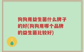 狗狗用益生菌什么牌子的好(狗狗用哪个品牌的益生菌比较好)