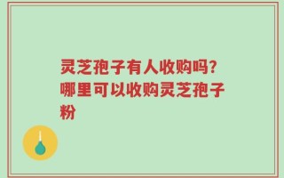 灵芝孢子有人收购吗？哪里可以收购灵芝孢子粉