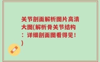 关节剖面解析图片高清大图(解析骨关节结构：详细剖面图看得见！)