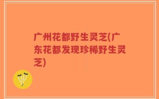 广州花都野生灵芝(广东花都发现珍稀野生灵芝)