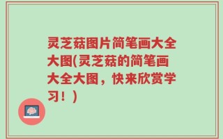 灵芝菇图片简笔画大全大图(灵芝菇的简笔画大全大图，快来欣赏学习！)