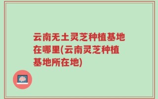 云南无土灵芝种植基地在哪里(云南灵芝种植基地所在地)