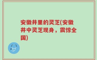 安徽井里的灵芝(安徽井中灵芝现身，震惊全国)