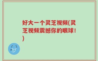 好大一个灵芝视频(灵芝视频震撼你的眼球！)