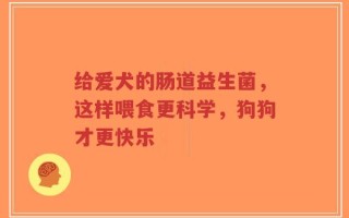 给爱犬的肠道益生菌，这样喂食更科学，狗狗才更快乐