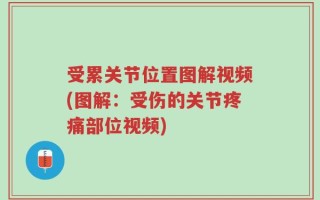 受累关节位置图解视频(图解：受伤的关节疼痛部位视频)