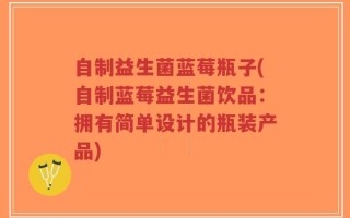 自制益生菌蓝莓瓶子(自制蓝莓益生菌饮品：拥有简单设计的瓶装产品)