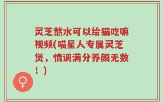 灵芝熬水可以给猫吃嘛视频(喵星人专属灵芝煲，情调满分养颜无数！)