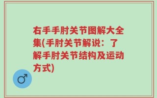 右手手肘关节图解大全集(手肘关节解说：了解手肘关节结构及运动方式)