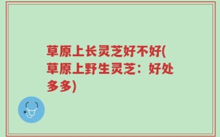 草原上长灵芝好不好(草原上野生灵芝：好处多多)