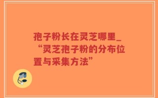 孢子粉长在灵芝哪里_“灵芝孢子粉的分布位置与采集方法”
