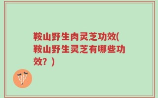 鞍山野生肉灵芝功效(鞍山野生灵芝有哪些功效？)