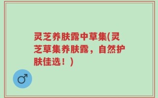 灵芝养肤露中草集(灵芝草集养肤露，自然护肤佳选！)