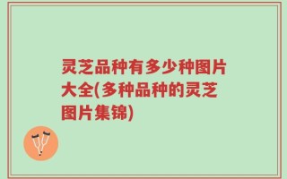 灵芝品种有多少种图片大全(多种品种的灵芝图片集锦)