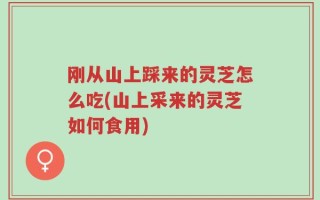 刚从山上踩来的灵芝怎么吃(山上采来的灵芝如何食用)