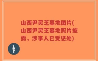 山西尹灵芝墓地图片(山西尹灵芝墓地照片披露，涉事人已受惩处)