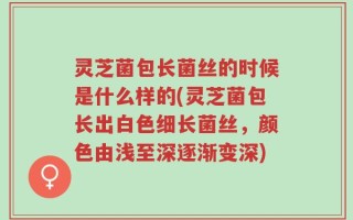 灵芝菌包长菌丝的时候是什么样的(灵芝菌包长出白色细长菌丝，颜色由浅至深逐渐变深)