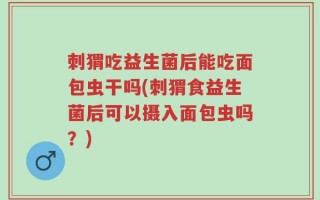 刺猬吃益生菌后能吃面包虫干吗(刺猬食益生菌后可以摄入面包虫吗？)