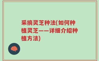 采摘灵芝种法(如何种植灵芝——详细介绍种植方法)