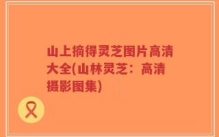山上摘得灵芝图片高清大全(山林灵芝：高清摄影图集)