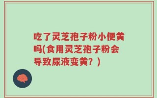 吃了灵芝孢子粉小便黄吗(食用灵芝孢子粉会导致尿液变黄？)