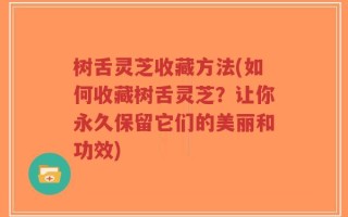 树舌灵芝收藏方法(如何收藏树舌灵芝？让你永久保留它们的美丽和功效)