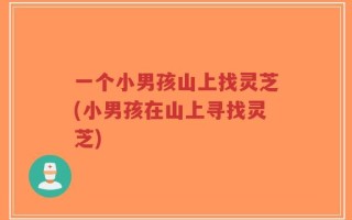 一个小男孩山上找灵芝(小男孩在山上寻找灵芝)