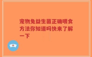 宠物兔益生菌正确喂食方法你知道吗快来了解一下