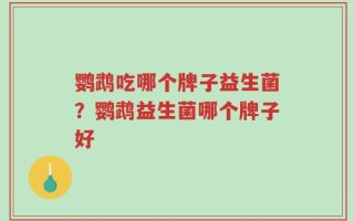鹦鹉吃哪个牌子益生菌？鹦鹉益生菌哪个牌子好