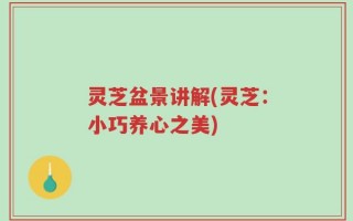 灵芝盆景讲解(灵芝：小巧养心之美)