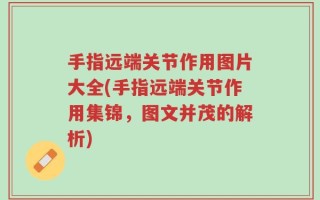 手指远端关节作用图片大全(手指远端关节作用集锦，图文并茂的解析)