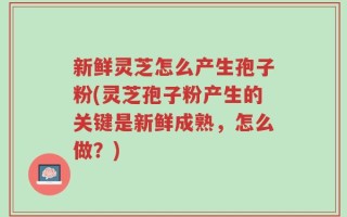 新鲜灵芝怎么产生孢子粉(灵芝孢子粉产生的关键是新鲜成熟，怎么做？)