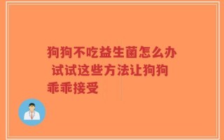 狗狗不吃益生菌怎么办 试试这些方法让狗狗乖乖接受