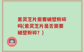 紫灵芝片需要破壁粉碎吗(紫灵芝片是否需要破壁粉碎？)
