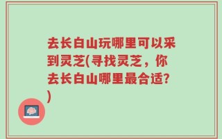去长白山玩哪里可以采到灵芝(寻找灵芝，你去长白山哪里最合适？)