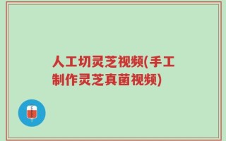 人工切灵芝视频(手工制作灵芝真菌视频)
