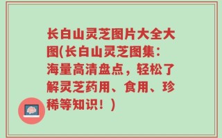 长白山灵芝图片大全大图(长白山灵芝图集：海量高清盘点，轻松了解灵芝药用、食用、珍稀等知识！)
