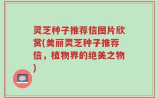 灵芝种子推荐信图片欣赏(美丽灵芝种子推荐信，植物界的绝美之物)