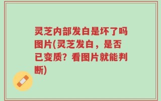 灵芝内部发白是坏了吗图片(灵芝发白，是否已变质？看图片就能判断)
