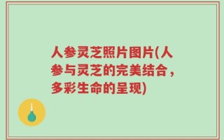 人参灵芝照片图片(人参与灵芝的完美结合，多彩生命的呈现)