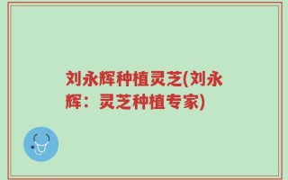 刘永辉种植灵芝(刘永辉：灵芝种植专家)